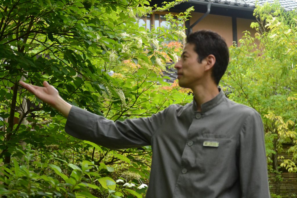 島根観光 連泊旅のご提案 出雲 松江編 草菴 草庵 スタッフがおすすめする連泊観光モデルプラン その１