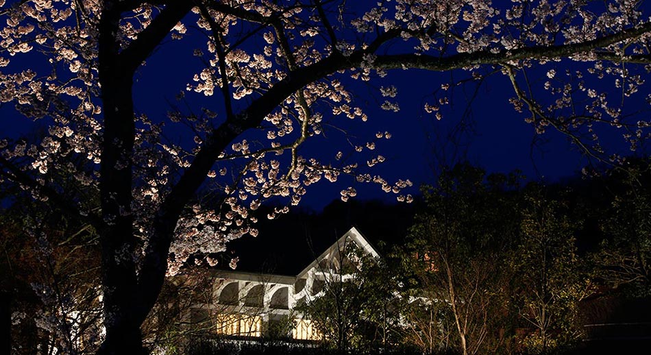 レストラン「すゞ奈」・桜