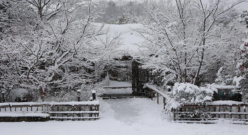 茅葺きの門・雪景色